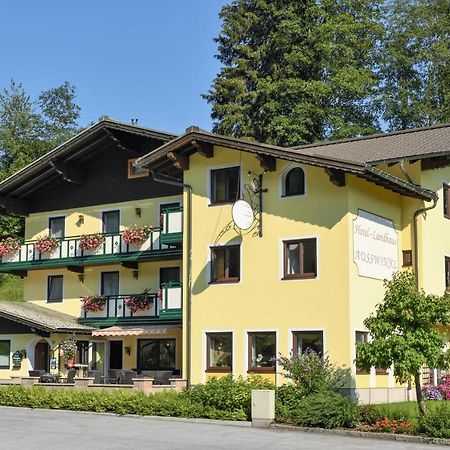 Hotel Landhaus Ausswinkl Russbach am Pass Gschutt Bagian luar foto