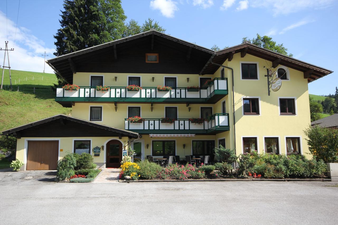 Hotel Landhaus Ausswinkl Russbach am Pass Gschutt Bagian luar foto